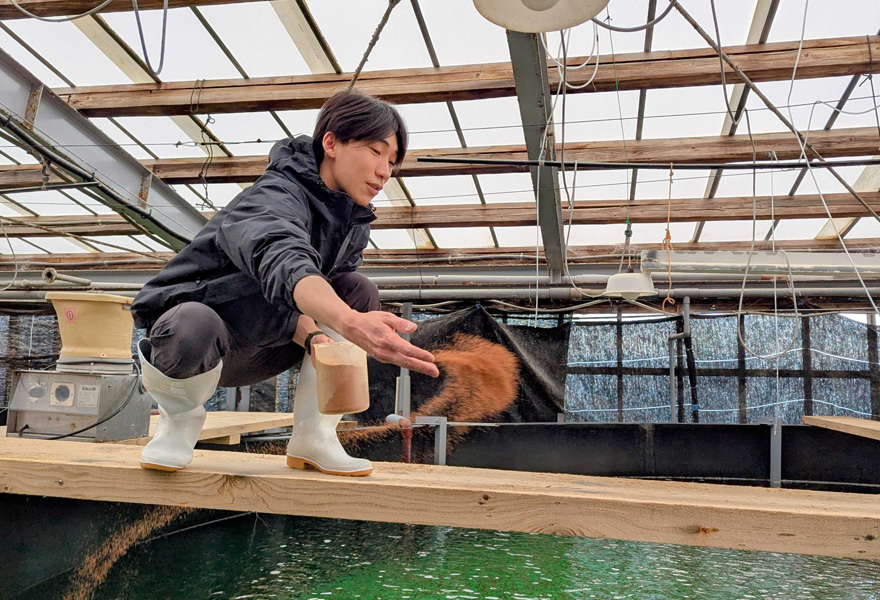 水産養殖種苗センター　白浜事業場　初期飼育（餌料培養）担当 福山 航輝
